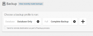 BackupBuddy Backup Screen